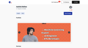 Freelancer Profile