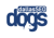 agency profile