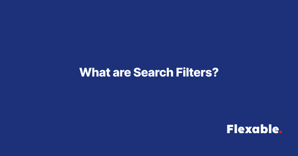 What-are-Search-Filters