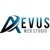 Aevus Web Studio Agency Profile Image
