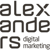 Alexanders Digital Marketing-logo