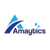 Amaytics Digital Services Pvt Ltd-logo