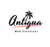 Antigua Web Solutions-logo