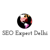 Best SEO Expert in Delhi-logo