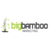 Big Bamboo Marketing-logo
