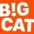 Big Cat Agency-logo