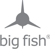 Big Fish-logo