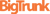 Bigtrunk Communications Pvt Ltd-logo