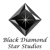 Black Diamond Star Studios, LLC-logo