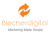 Blecher Digital Marketing-logo