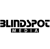 Blindspot Media-Digital Marketing Agency-logo