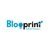 Blooprint Consulting-logo
