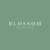 Blossom Marketing-logo