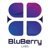 Bluberry Labs LLC-logo