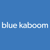 Blue Kaboom Agency Profile Image