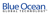 Blue Ocean Global Technology-logo