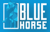 BlueHorse Software Solution Pvt Ltd-logo