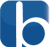 Bluelook:Web & mobile app development-logo