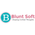 Blunt Soft LLC Agency Profile Image