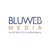 BluWebMedia IT Services Pvt. Ltd.-logo