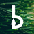 Boscus Digital Marketing-logo