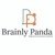 Brainly Panda-logo
