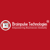 Brainpulse Technologies-logo