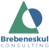 Brebeneskul Consulting-logo