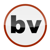 Brentwood Visual-logo