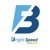 Bright Speed Media, LLC-logo