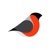 Bullfinch-logo
