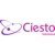 Ciesto solutions-logo