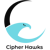 Cipher Hawks-logo