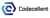 Codecellent - IT Consulting and Services Agency Profile Image
