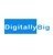Creative Digital Marketing Agency Delhi | Digitally Big-logo