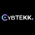 CybTEKK LLP-logo