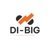DI BIG LLC-logo