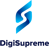DigiSupreme - Web Design Company In Navi Mumbai-logo