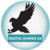 Digital hawks 24-logo