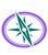 Digital Nepal Vision-logo