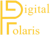Digital Polaris-logo
