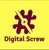 Digital Screw Services-logo