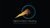Digital Transition Marketing-logo