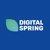 DigitalSpring-logo