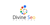 Divine SEO Services-logo