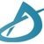 Dynamo Web Solutions-logo