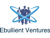 Ebullient Ventures Pvt. Ltd.-logo