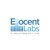 Ellocent Labs IT Solutions Private Limited-logo