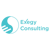 Exegy Consulting-logo