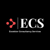 EXR Consultancy Services-logo